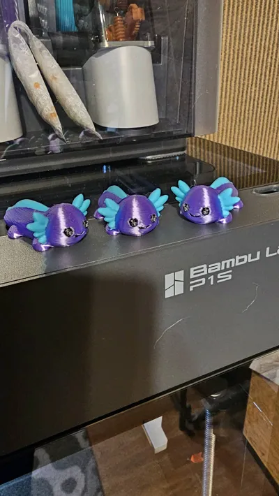 https://makerworld.bblmw.com/makerworld/model/1499658/1568680/ratings/4e0f5d90-f874-11f0-b956-59345cc86dac.jpg