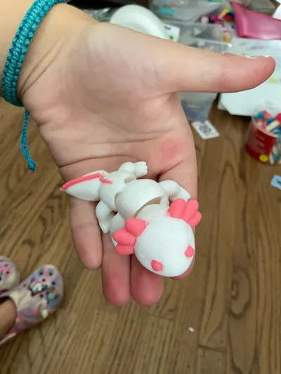 https://makerworld.bblmw.com/makerworld/model/1500476/1569985/ratings/7f91bb70-5751-11f0-81b7-dfaa9477db5e.jpg