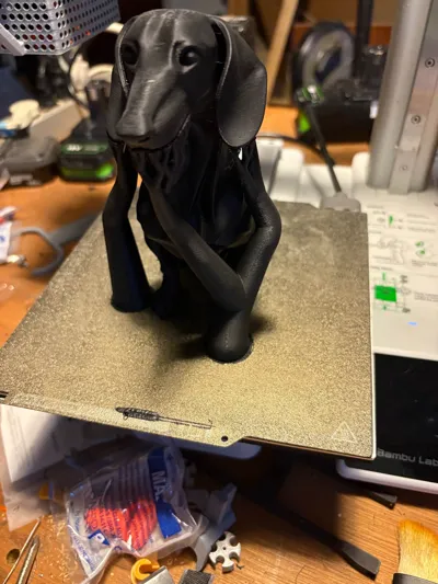 https://makerworld.bblmw.com/makerworld/model/1501418/1570721/ratings/09829d50-4d51-11f0-9b31-5524a8715e4e.jpg
