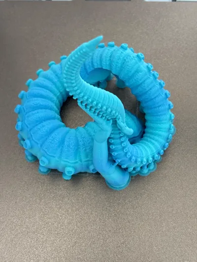 https://makerworld.bblmw.com/makerworld/model/1502388/1571765/ratings/24ba4550-92f7-11f0-bbff-0dbe3380a48d.jpg