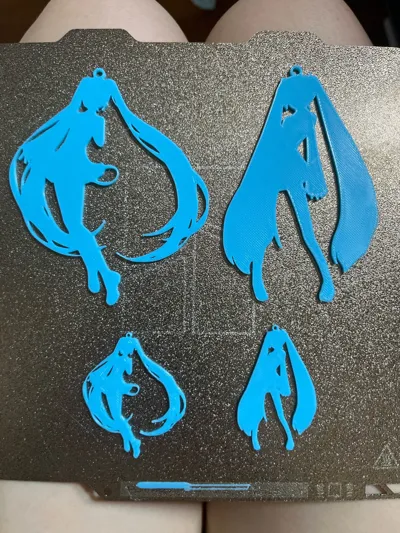 https://makerworld.bblmw.com/makerworld/model/1502574/1571996/ratings/d68b51d0-6e02-11f0-919b-b5500940aed4.jpg