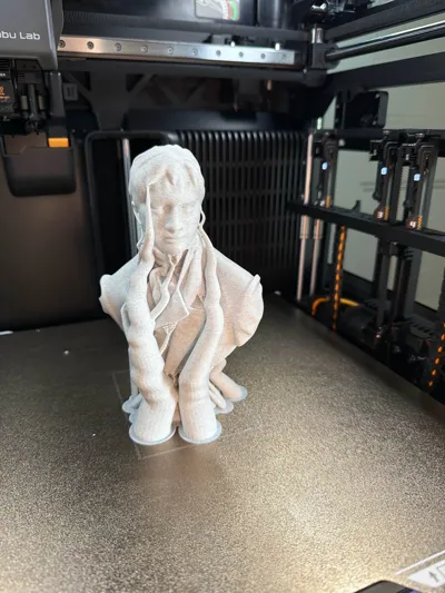 https://makerworld.bblmw.com/makerworld/model/1502769/1572280/ratings/86d73110-d38b-11f0-9dc1-9dd41fb923d0.jpg