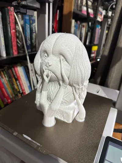 https://makerworld.bblmw.com/makerworld/model/1506176/1577230/ratings/5e028430-f328-11f0-9176-f95d3f9d432e.jpg
