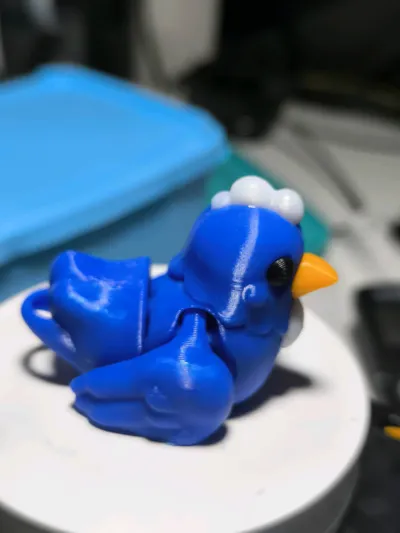 https://makerworld.bblmw.com/makerworld/model/1508985/1579663/ratings/c591b610-b80a-11f0-874a-357018a34922.jpg