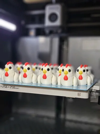 https://makerworld.bblmw.com/makerworld/model/1508985/1579667/ratings/817b3fb0-b48a-11f0-b18c-3beec2ba521c.jpg