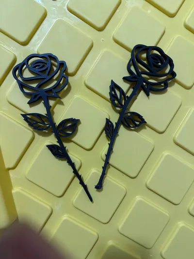 https://makerworld.bblmw.com/makerworld/model/150901/164638/ratings/1d0a57c0-43a4-11f0-97b9-71d02e32308a.jpg