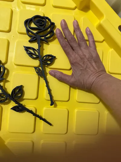 https://makerworld.bblmw.com/makerworld/model/150901/164638/ratings/1d11aac0-43a4-11f0-97b9-71d02e32308a.jpg