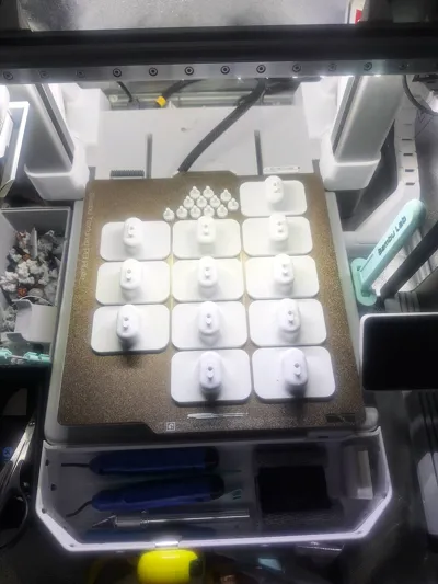 https://makerworld.bblmw.com/makerworld/model/1510374/1581268/ratings/a1feb560-75ff-11f0-9bfe-25566b397cc7.jpg
