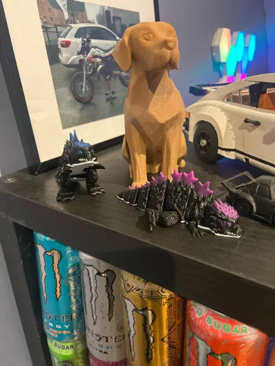 https://makerworld.bblmw.com/makerworld/model/1510407/1581318/ratings/9eac4810-51fa-11f0-b63f-114e9405676e.jpg