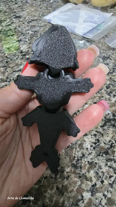 https://makerworld.bblmw.com/makerworld/model/1510537/1581443/ratings/b29d9690-dfa7-11f0-b4ab-7bd80c0c79f7.jpg