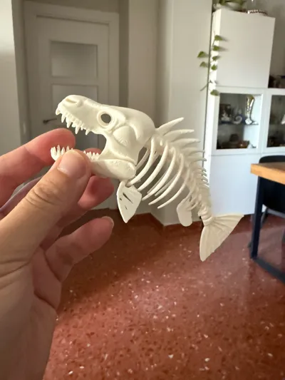https://makerworld.bblmw.com/makerworld/model/1512101/1583444/ratings/95d06870-96f6-11f0-b069-a39c5691816d.jpg