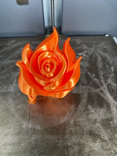 https://makerworld.bblmw.com/makerworld/model/1512474/1583923/ratings/8cbaf5f0-970c-11f0-bff6-3be0fbfc515b.jpg