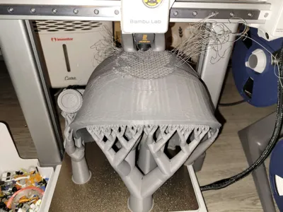 https://makerworld.bblmw.com/makerworld/model/1513013/1584557/ratings/a15a5b40-f2d3-11f0-8828-91ead283f695.jpg