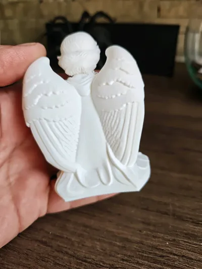 https://makerworld.bblmw.com/makerworld/model/1514249/1586038/ratings/76b8e3d0-73a2-11f0-89f5-f70f182b725e.jpg
