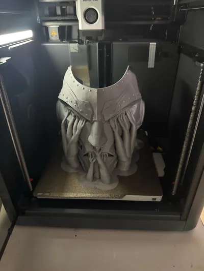 https://makerworld.bblmw.com/makerworld/model/1514497/1725765/ratings/06ada290-7278-11f0-ba9e-df2b8420327b.jpg