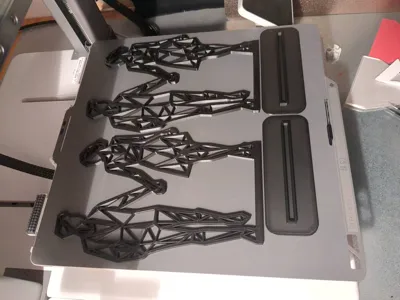 https://makerworld.bblmw.com/makerworld/model/151453/165336/ratings/83b3b4b0-5c10-11f0-958a-71e93d1bfab5.jpg