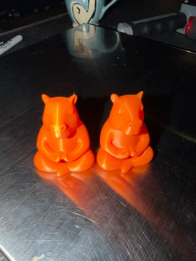 https://makerworld.bblmw.com/makerworld/model/1515026/1587038/ratings/7447c850-eb39-11f0-9b1d-ef4f3fcaa068.jpg