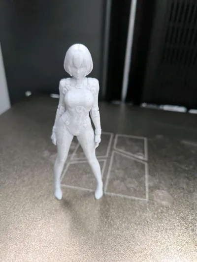 https://makerworld.bblmw.com/makerworld/model/1515092/1587128/ratings/462fec20-af22-11f0-8c18-adeef689a0a9.jpg
