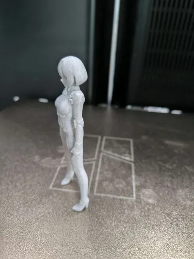 https://makerworld.bblmw.com/makerworld/model/1515092/1587128/ratings/46476bc0-af22-11f0-8c18-adeef689a0a9.jpg