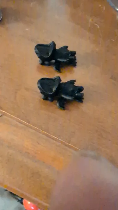 https://makerworld.bblmw.com/makerworld/model/1515172/1587216/ratings/509c4760-4df9-11f0-a77f-7b8081764349.jpg