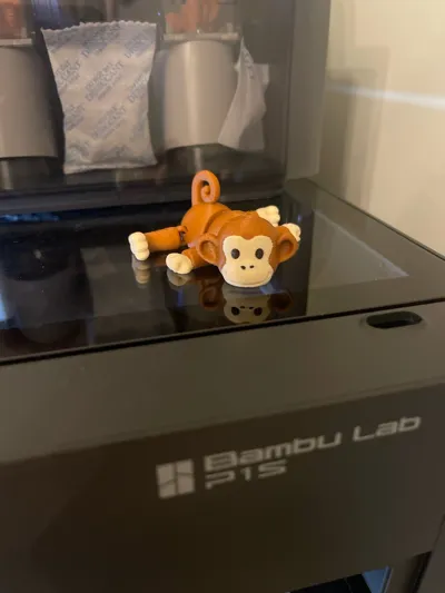 https://makerworld.bblmw.com/makerworld/model/1515860/1587915/ratings/448f49d0-a250-11f0-b468-f9cfc945976e.jpg