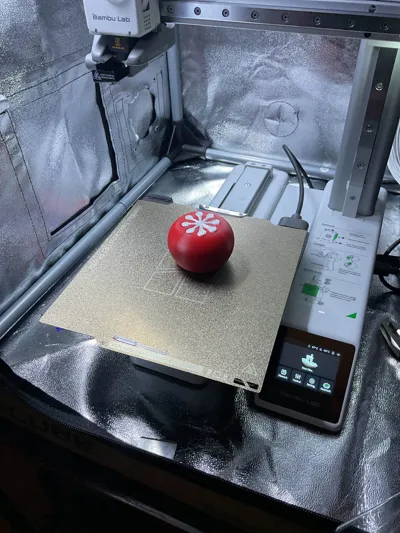 https://makerworld.bblmw.com/makerworld/model/1516733/1588876/ratings/18d5da40-e691-11f0-b3fd-f97da2c99ff5.jpg