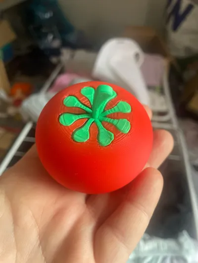 https://makerworld.bblmw.com/makerworld/model/1516733/1588876/ratings/9cfafc00-6208-11f0-bf76-63e94c975510.jpg