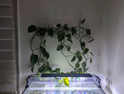 https://makerworld.bblmw.com/makerworld/model/1516975/1589184/ratings/9dceb750-c740-11f0-8ca7-cb0bb3c98ac1.jpg