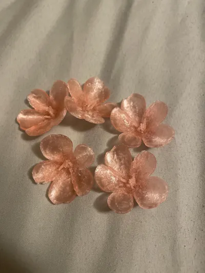 https://makerworld.bblmw.com/makerworld/model/1517277/1589573/ratings/555b6fc0-ea7e-11f0-a0fa-cbe00532fa25.jpg