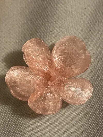https://makerworld.bblmw.com/makerworld/model/1517277/1589573/ratings/55996320-ea7e-11f0-a0fa-cbe00532fa25.jpg