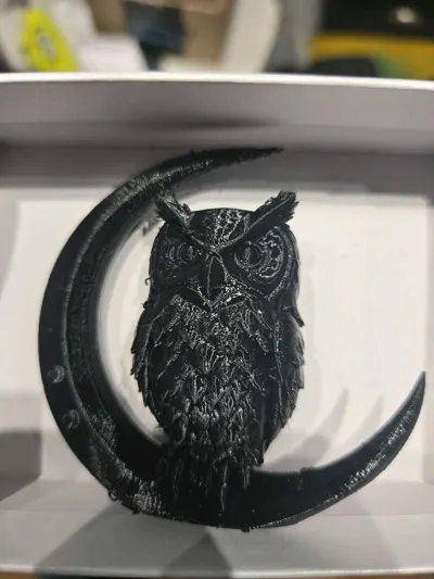 https://makerworld.bblmw.com/makerworld/model/1517379/1589703/ratings/85c4fe30-d7f3-11f0-93e6-9777c401faf1.jpg