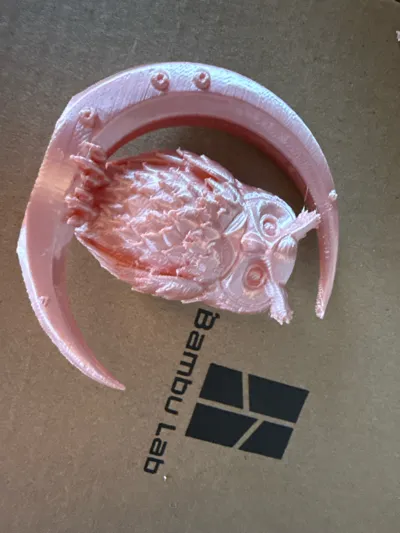 https://makerworld.bblmw.com/makerworld/model/1517379/1589703/ratings/bc0e9ad0-a69f-11f0-a6d7-1b9835b96c3b.jpg