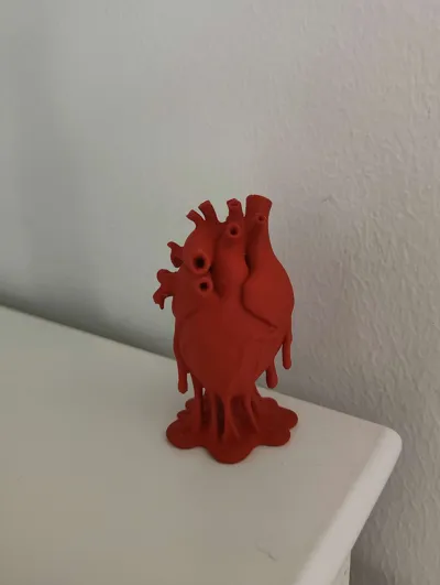 https://makerworld.bblmw.com/makerworld/model/1517865/1590875/ratings/a1d22820-4c73-11f0-a1ae-fd8b2bdb8ae1.jpg