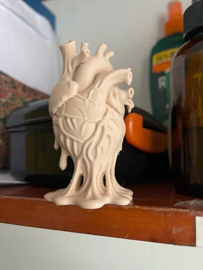 https://makerworld.bblmw.com/makerworld/model/1517865/1590875/ratings/fd374e40-6a30-11f0-b4de-b187edf7ef0b.jpg