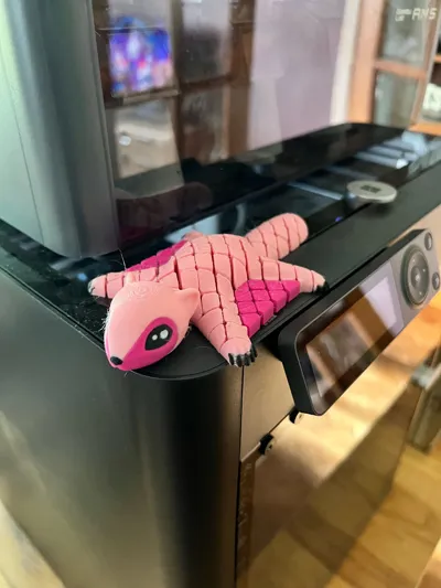 https://makerworld.bblmw.com/makerworld/model/1518161/1590756/ratings/7212f8e0-a1f9-11f0-af21-251f5d23e433.jpg
