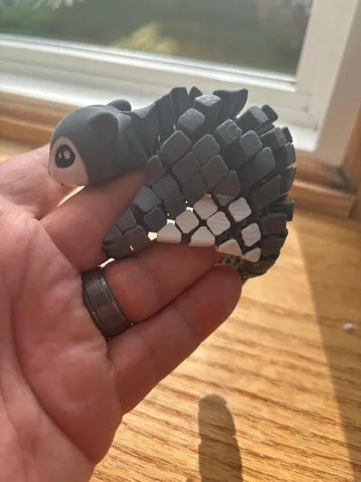 https://makerworld.bblmw.com/makerworld/model/1518161/1590756/ratings/8bf01c70-64e6-11f0-9497-3df87e404db7.jpg
