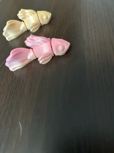 https://makerworld.bblmw.com/makerworld/model/1518825/1591473/ratings/c87aad70-ea58-11f0-a2ec-015cb3debf6d.jpg