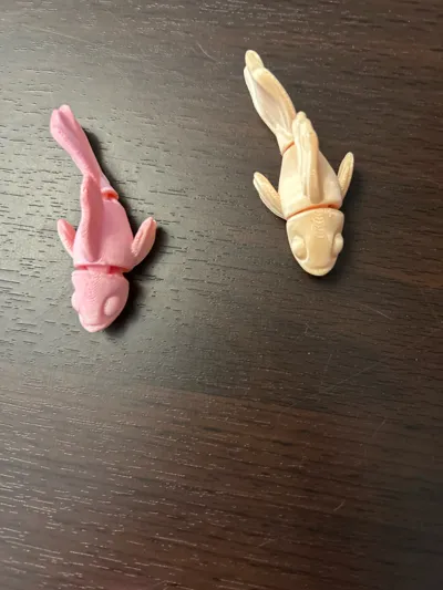 https://makerworld.bblmw.com/makerworld/model/1518825/1591473/ratings/c87be5f1-ea58-11f0-a2ec-015cb3debf6d.jpg