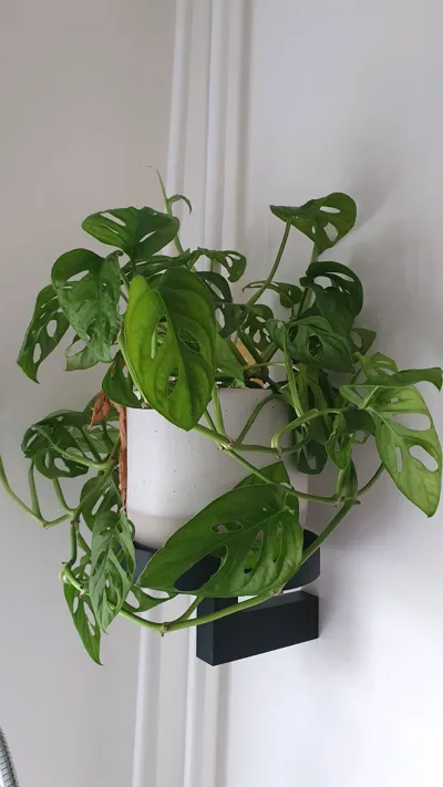 https://makerworld.bblmw.com/makerworld/model/1519246/1591927/ratings/3dc1afd0-6a10-11f0-961b-3fa0f4c6ceb0.jpg