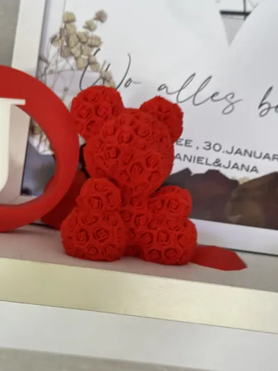 https://makerworld.bblmw.com/makerworld/model/152175/304878/ratings/f72d0b20-0739-11f0-b91b-0dea4368f39c.jpg