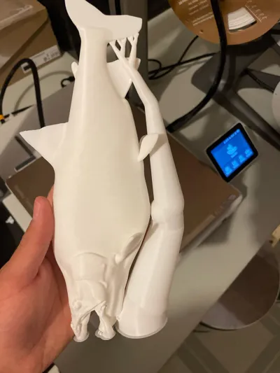 https://makerworld.bblmw.com/makerworld/model/1521957/1594990/ratings/17497500-65c8-11f0-ae65-5708e87b9e9e.jpg