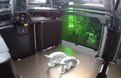 https://makerworld.bblmw.com/makerworld/model/1522949/1596168/ratings/2df7c280-5d89-11f0-91e2-7d452c1166f6.jpg
