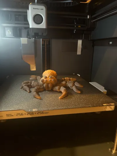 https://makerworld.bblmw.com/makerworld/model/1523211/1596484/ratings/f3030ae0-f225-11f0-96c1-1df22a2a5688.jpg