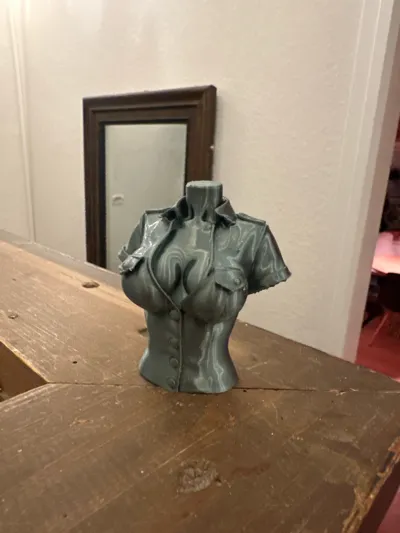 https://makerworld.bblmw.com/makerworld/model/1523440/1596695/ratings/d6537710-73e3-11f0-bf40-e16f728db26c.jpg