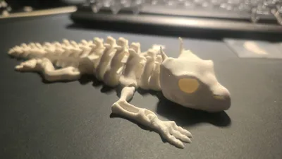 https://makerworld.bblmw.com/makerworld/model/152360/166348/ratings/aed38450-0b42-11f0-83d7-e9a936286363.jpg
