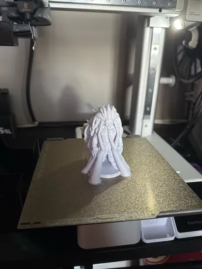 https://makerworld.bblmw.com/makerworld/model/1523718/1596999/ratings/f6a7c170-4df9-11f0-9bfb-df1e348c5eeb.jpg