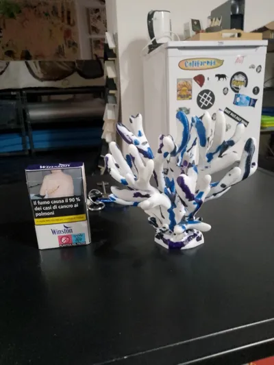 https://makerworld.bblmw.com/makerworld/model/1524132/1597485/ratings/b6f80760-a45c-11f0-9e64-4b7ddf5785f7.jpg