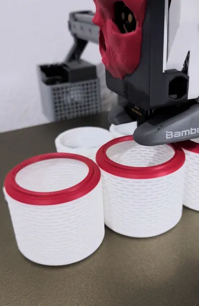 https://makerworld.bblmw.com/makerworld/model/152727/270825/ratings/a7919590-ce35-11f0-b690-933e3d30be08.jpg