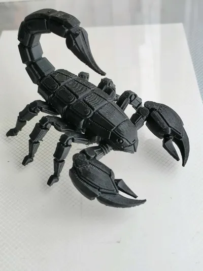 https://makerworld.bblmw.com/makerworld/model/1527633/1601620/ratings/37e73bd0-4dd1-11f0-bd36-6188fddd9165.jpg