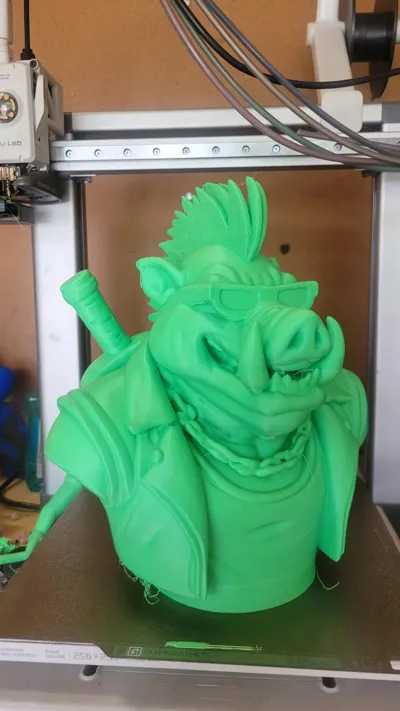 https://makerworld.bblmw.com/makerworld/model/1527686/1601668/ratings/abed0e90-6a6b-11f0-b61b-e3e11f309d81.jpg